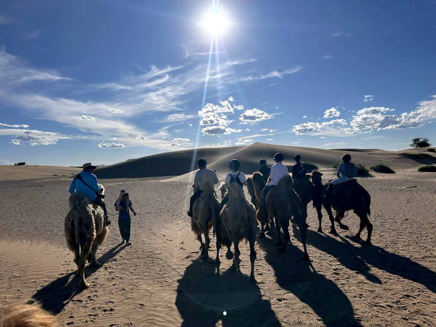 "Echoes of the Steppe" - Most authentic journey you'll ever experience!